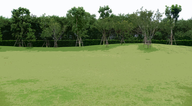 A large green lawn with forest in the background : illustration in modern style (jpeg)
