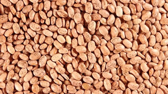 Pinto beans 4k video spinning clockwise slowly top down view