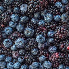 Fresh berries. Closeup background. Blackberry and Blueberry full frame.