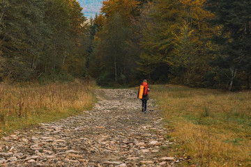 lonely backpacking girl back to camera walk on highland forest mountain stone trail in moody colors autumn season cold weather time 