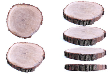 Detailed piece of circular flat cut wood showing annual rings, cracks, bark and texture. Slice an oak tree like a wooden plate grove tree trunk showing isolated on white background.