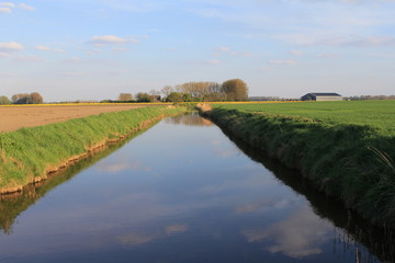 Obraz premium a broad ditch in the dutch countryside in springtime