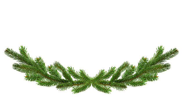 Long spruce garland. Large Christmas garland of green spruce branches. Panorama.Isolated on a white background without shadow.