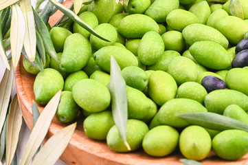 Fresh green olives with branches and leaves. Seasonal harvest in Italy. Top view.