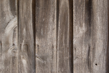 Naklejka premium Wall of wooden boards. Tree structure.