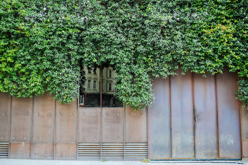 Background with street style urban vintage textured rusty gate with lush greenery above. Small window with architecture reflected.