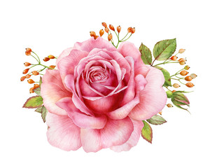 Watercolor illustration of a delicate pink rose with decorative twigs and leaves. Botanical illustration.