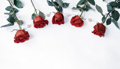Fototapeta na wymiar red roses, flowers on a white background