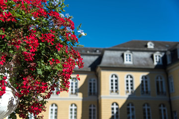 Blumen mit Karlsruher Schloss