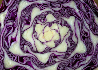 Obraz premium Red cabbage cut in half as a background