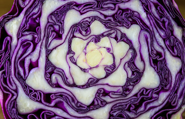 Obraz premium Red cabbage cut in half as a background2
