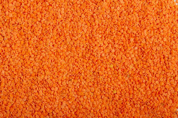 Texture of raw red lentils top view