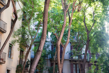 Fototapeta premium Park mit Bäumen in der Stadt