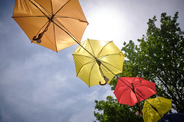 Several multi-colored umbrella hanging on the tree.