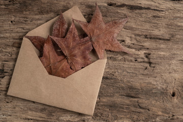envelope on a wooden table decorated with dried autumn leaves