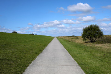 Fototapeta na wymiar Radweg und Gehweg am Deich entlang bei Schillig an der Nordseeküste - Stockfoto