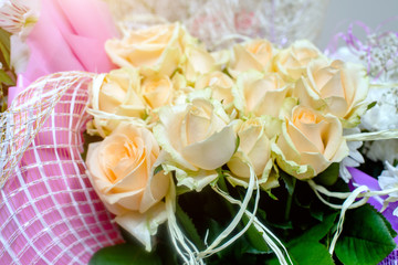 A bouquet of beige roses close-up