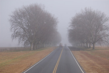 Fototapeta premium road in the fog