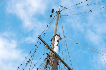 Ships main mast and rigging lines