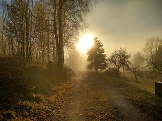 Norwegian countrysideroad  in sunlight and fog an autumn morning