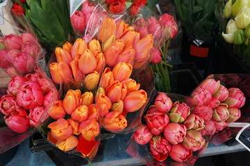 18-03-31 Nice - Flower market in the time of Easter
