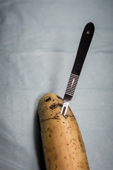 Surgical training on a banana