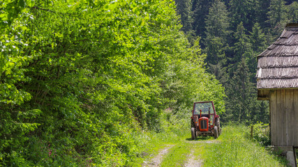 Slovenian Green Countryside Nature