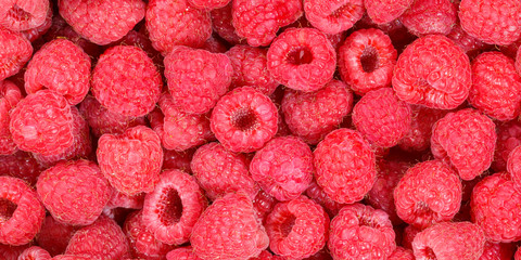 Raspberries berry fruits collection food background raspberry banner berries fresh fruit