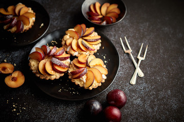 Obraz na płótnie Canvas Delicious homemade mini tarts with fresh sliced plum fruit