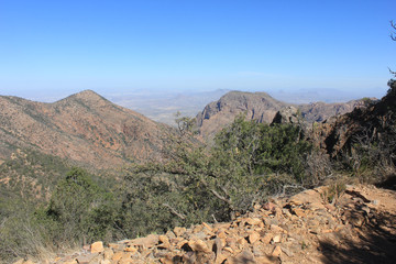Desert Landscape