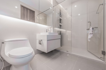 Beautiful Large Bathroom.White toilet bowl
