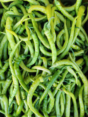 Close up of green chili pepper 