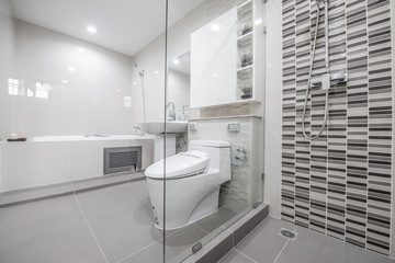 Beautiful Large Bathroom.White toilet bowl