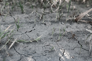 arid land cracked by drought, lack of precipitation and rain