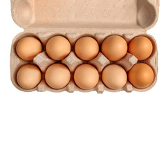 chicken eggs close-up isolated on white background in cardboard box for transportation