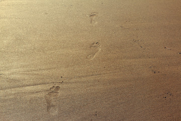 Foot steps in beach sand