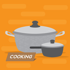 Pair of cooking pots over a colored background - Vector illustration