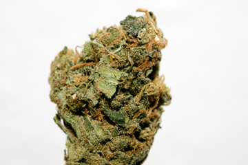 Weed bud lemon bubble macro background high quality fifty megapixels prints