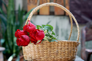 Fototapeta na wymiar Beautiful red roses in basket in the garden