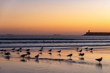 Matosinhos beach at sunset