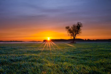 Cercles muraux Aube Beau lever de soleil d& 39 automne coloré et froid aux champs d& 39 herbe