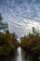 Ciel nuageux et automne