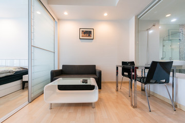 Interior, beautiful apartment, luxurious living room