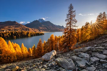 Herbst am Silser See mit seinen farbigen Lärchen im Engadin in der Schweiz © Thomas