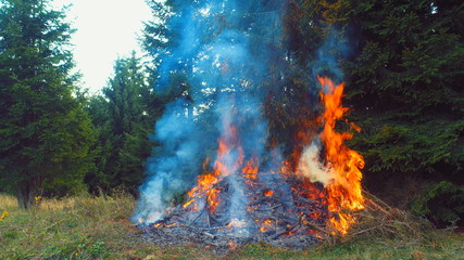 fire flames starting to ignite  try branches in dry  forest  aerial drone