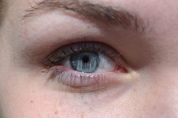 Obraz premium closeup of an eye