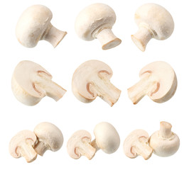 mushrooms isolated on a white background. Food