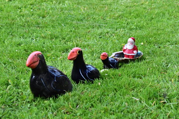 Season greetings with Santa Claus and pukeko birds © Soňa