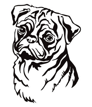 Decorative portrait of Pug dog vector illustration