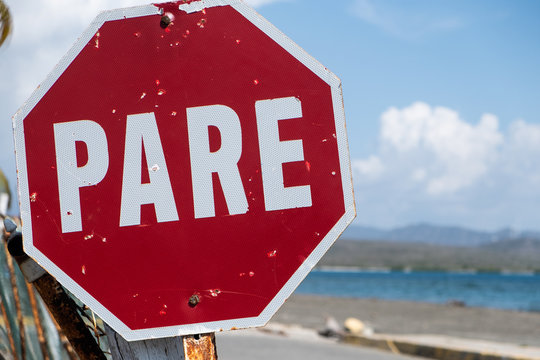 Pare Bilder Durchsuchen 4,870 Archivfotos, und Videos